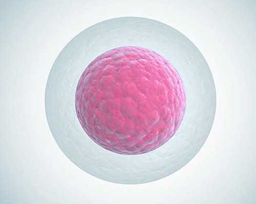 (a)第一代孕网,宁德三代试管婴儿