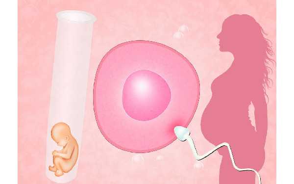 青岛供卵医院不排队 2022青岛市最新产假规定 ‘两个月的孕囊大小能看出男孩女